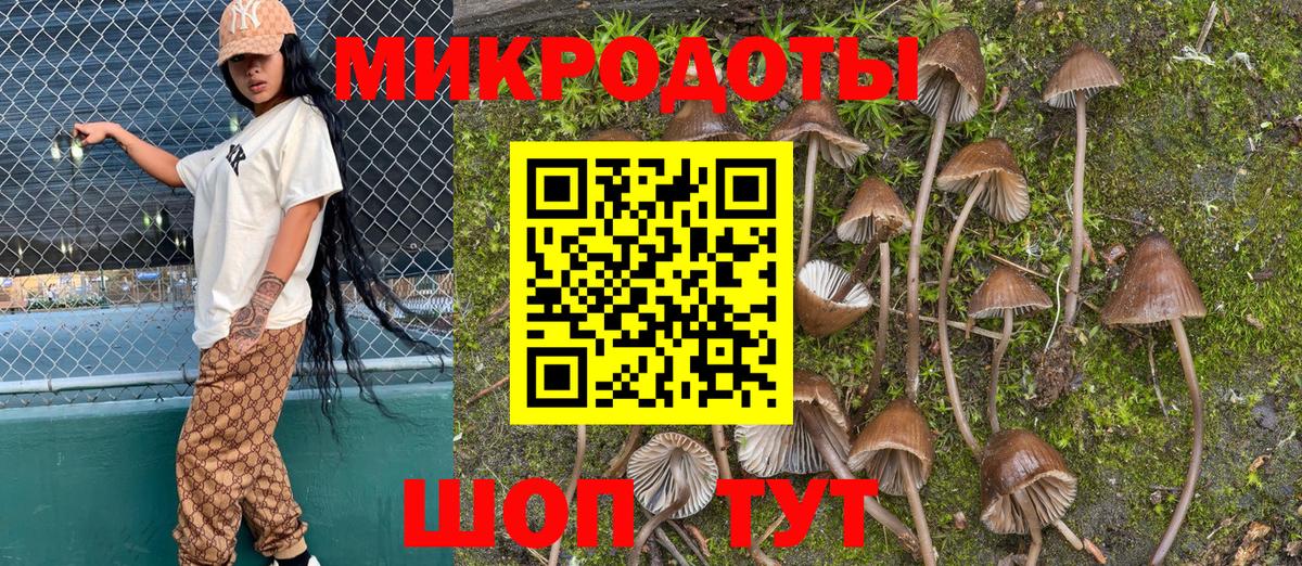 Галлюциногенные грибы GOLDEN TEACHER Каменск-Уральский