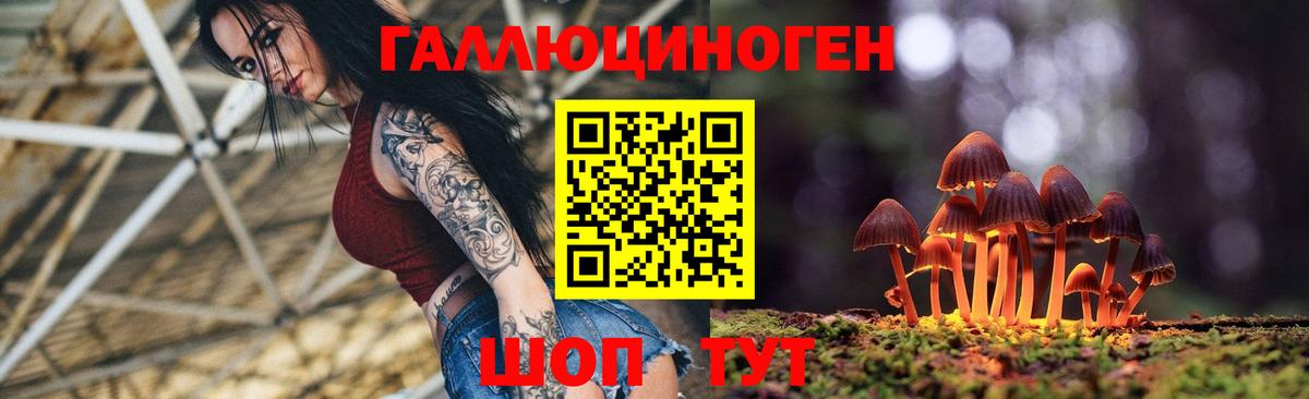 где продают наркотики  Вход с VPN  Каменск-Уральский  Псилоцибиновые грибы Magic Shrooms 